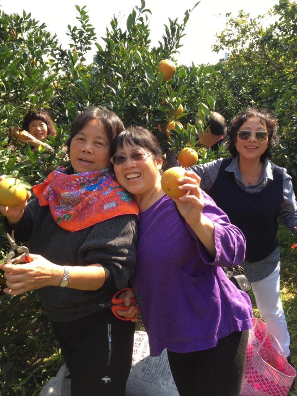 Fanny Manor B&B Emei Bagian luar foto